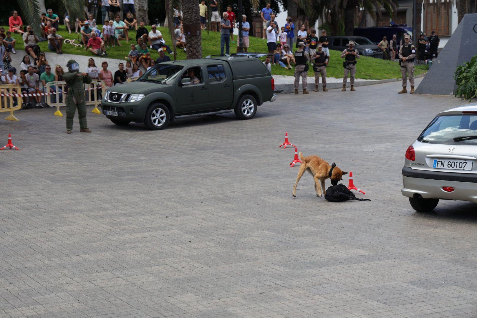 La Fuerzas Armadas exhiben sus recursos materiales y humanos en la plaza de La Feria