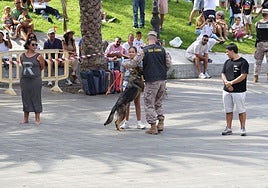 La Plaza de La Feria, puerto de la Armada