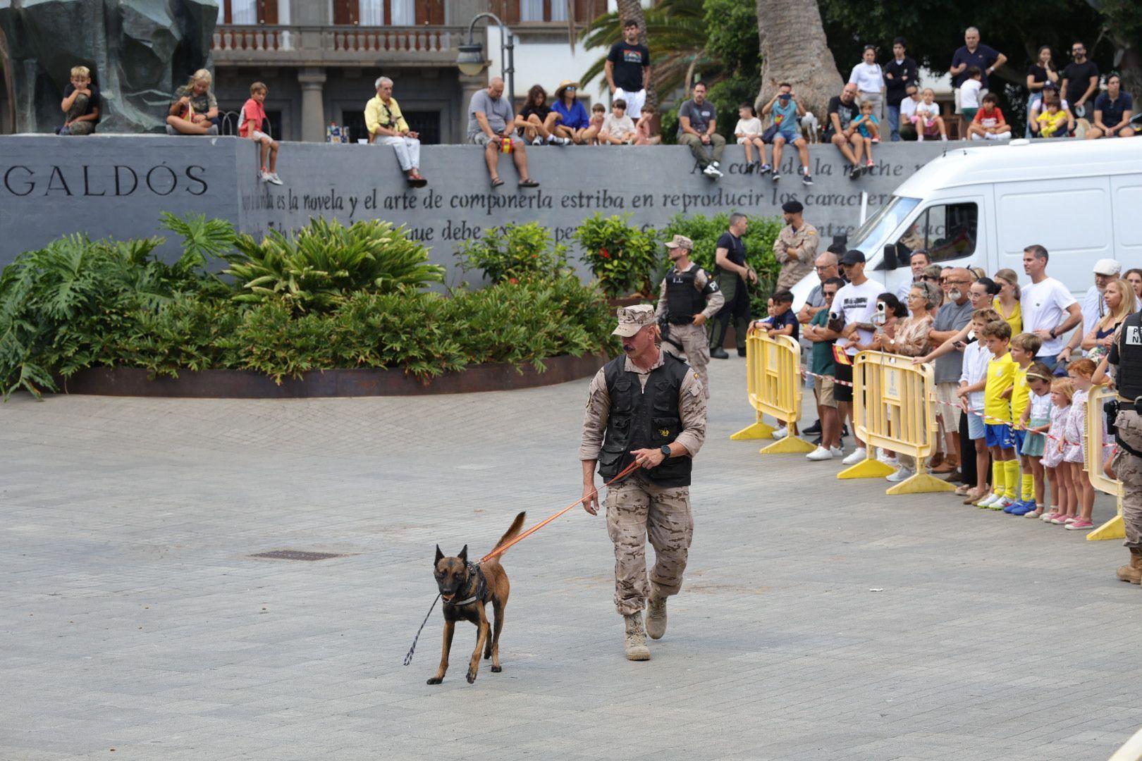La Fuerzas Armadas exhiben sus recursos materiales y humanos en la plaza de La Feria