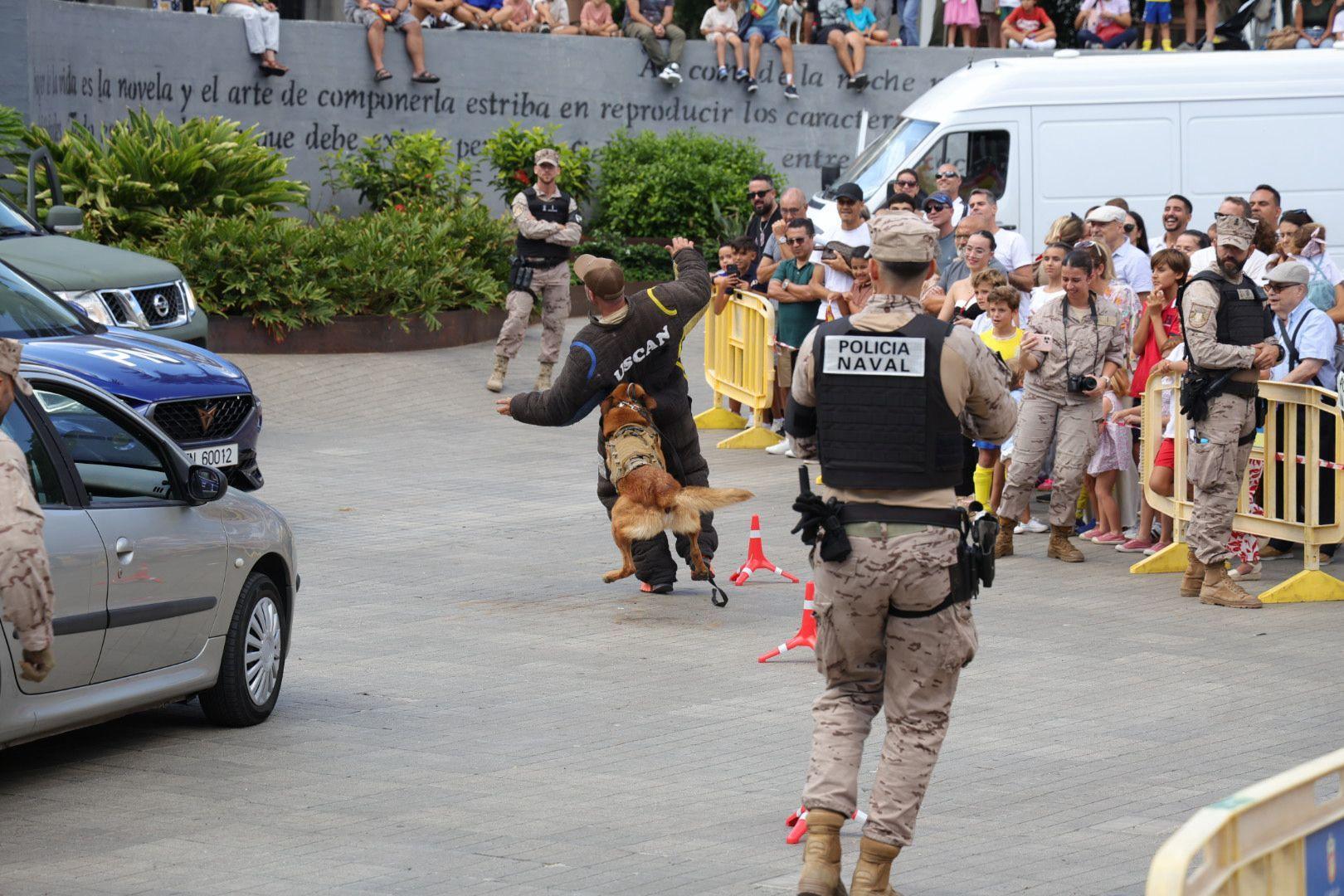La Fuerzas Armadas exhiben sus recursos materiales y humanos en la plaza de La Feria