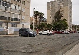 Imagen de Eucaliptos II.