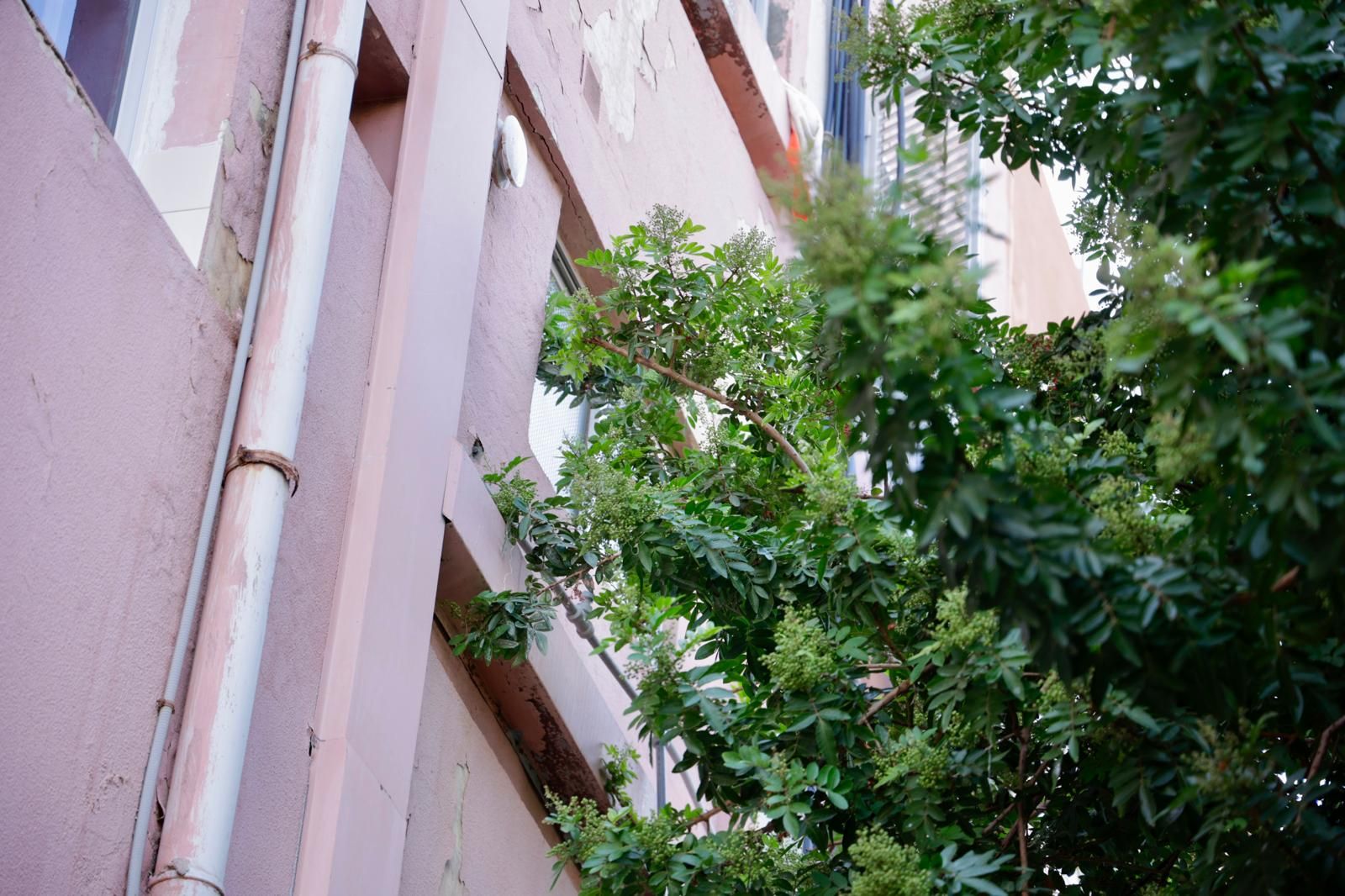 Vecinos de Escaleritas denuncian el mal estado de sus patios interiores