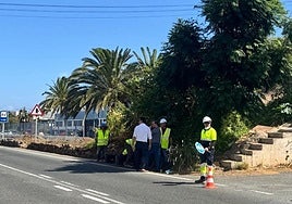 Imagenes de las obras de renovación de la red de abasto.