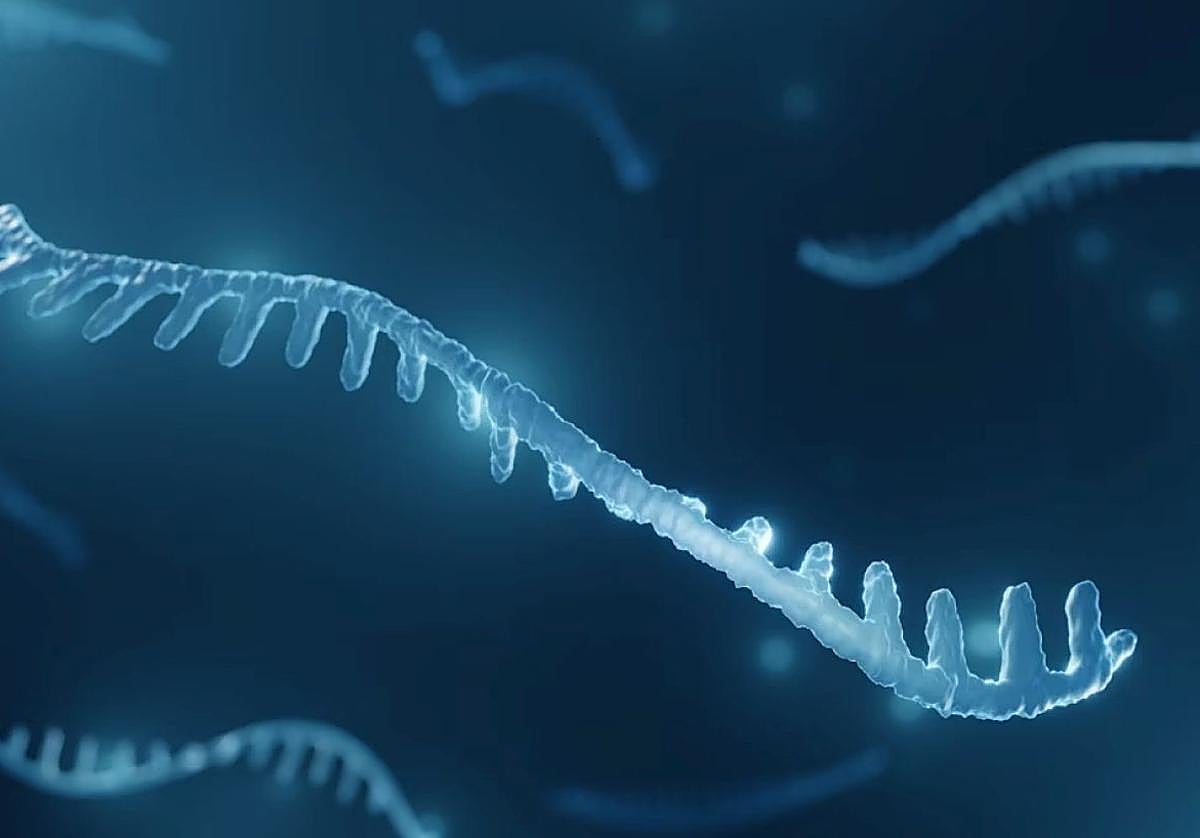 Recreación de moléculas de micro-ARN.