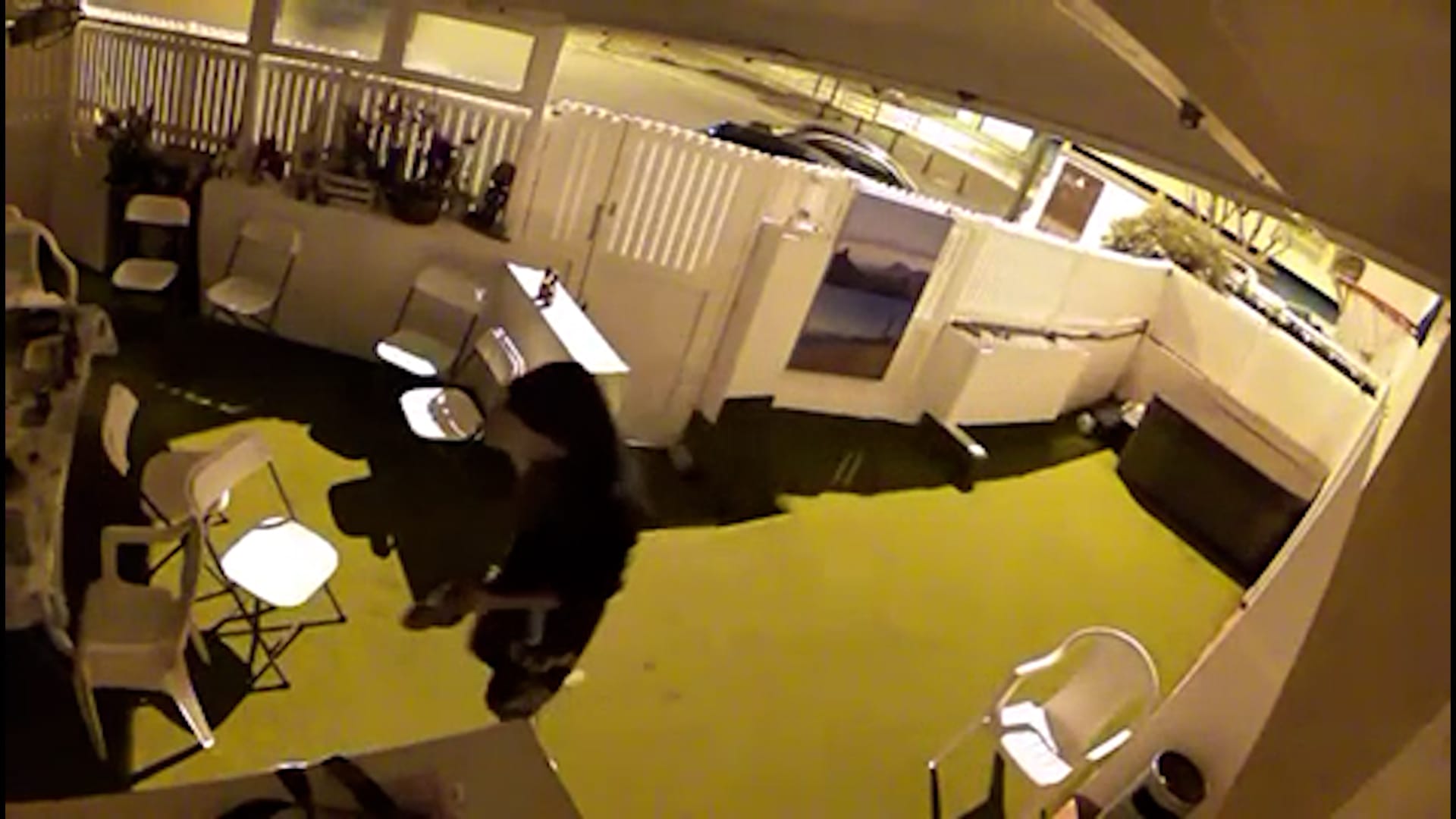 Detenido en Vecindario por varios robos y maltrato animal: la Guardia Civil halla aves en tuppers sin ventilación