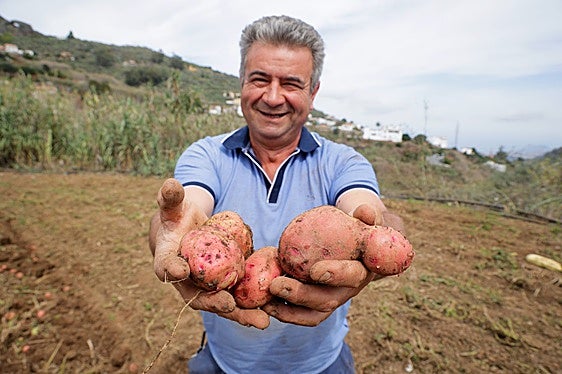 José Luis León sujetando algunos ejemplares de papas en su finca Los Risquillos, ubicada en la carretera que va dirección a los Arbejales, en Teror