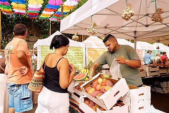 La Feria Km.0 Gran Canaria es posible gracias a la colaboración del Ayuntamiento, el Cabildo, Turismo de Gran Canaria y la Cámara de Comercio.