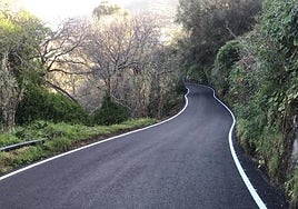 Carretera insular con vegetación en sus bordes en las medianías de Gran Canaria.