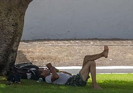 ¿Cómo diseñar ciudades y edificios para afrontar el exceso de calor?