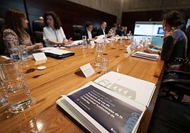 Imagen tomada durante el Consejo de Gobierno de este miércoles.