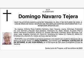Domingo Navarro Tejera