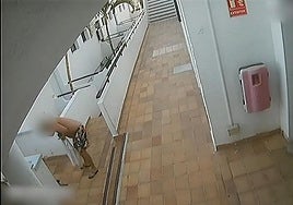 Imagen del momento en que un hombre acaba con la vida de la gata Millu en Mogán.