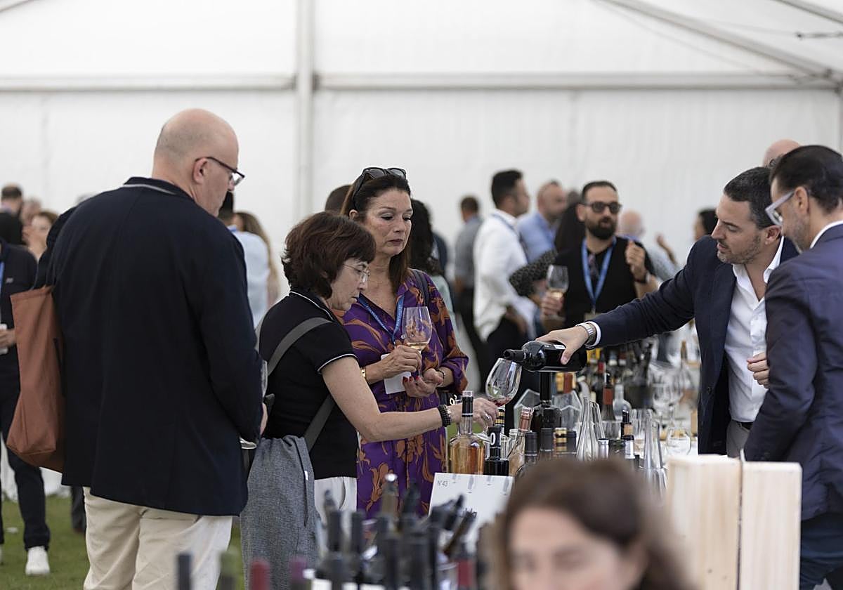 The Wine Gallery 2025