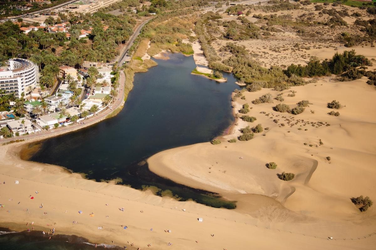 Prueba AMP - mapa ine