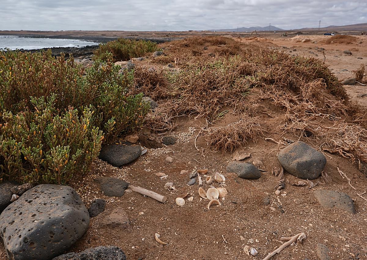 Imagen secundaria 1 - Las obras se retomaron hace un año aproximadamente.