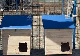 Nuevos refugios para gatos en Agaete.