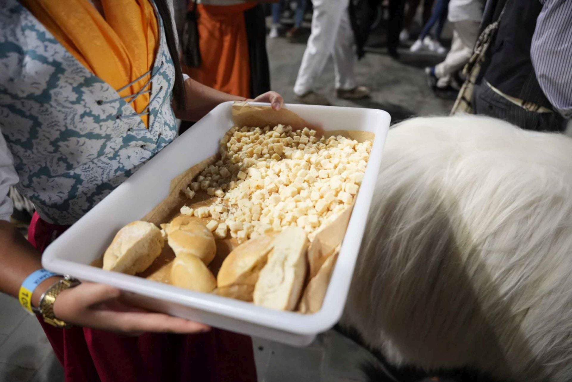 La romería de San Rafael, en imágenes
