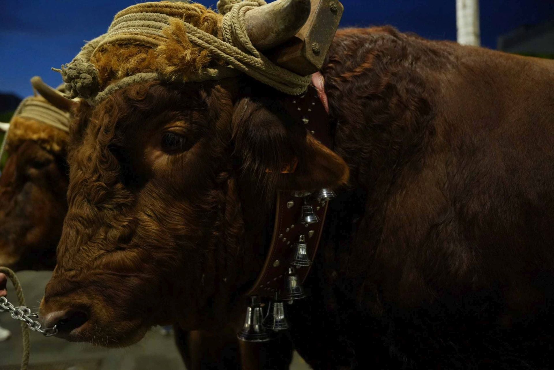 La romería de San Rafael, en imágenes