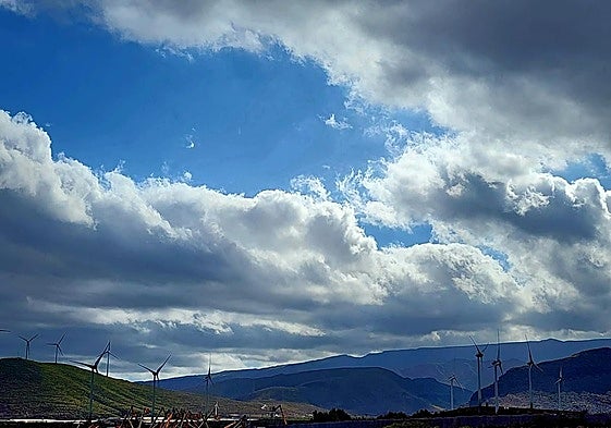 Imagen de archivo de CANARIAS7.