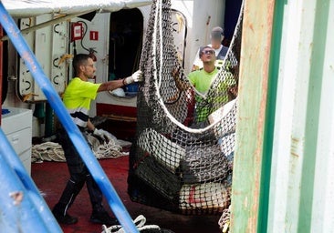 Golpe al narcotráfico: incautan 4.000 kilos de cocaína en un mercante frente a Canarias