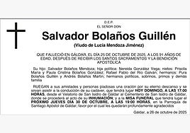 Salvador Bolaños Guillén