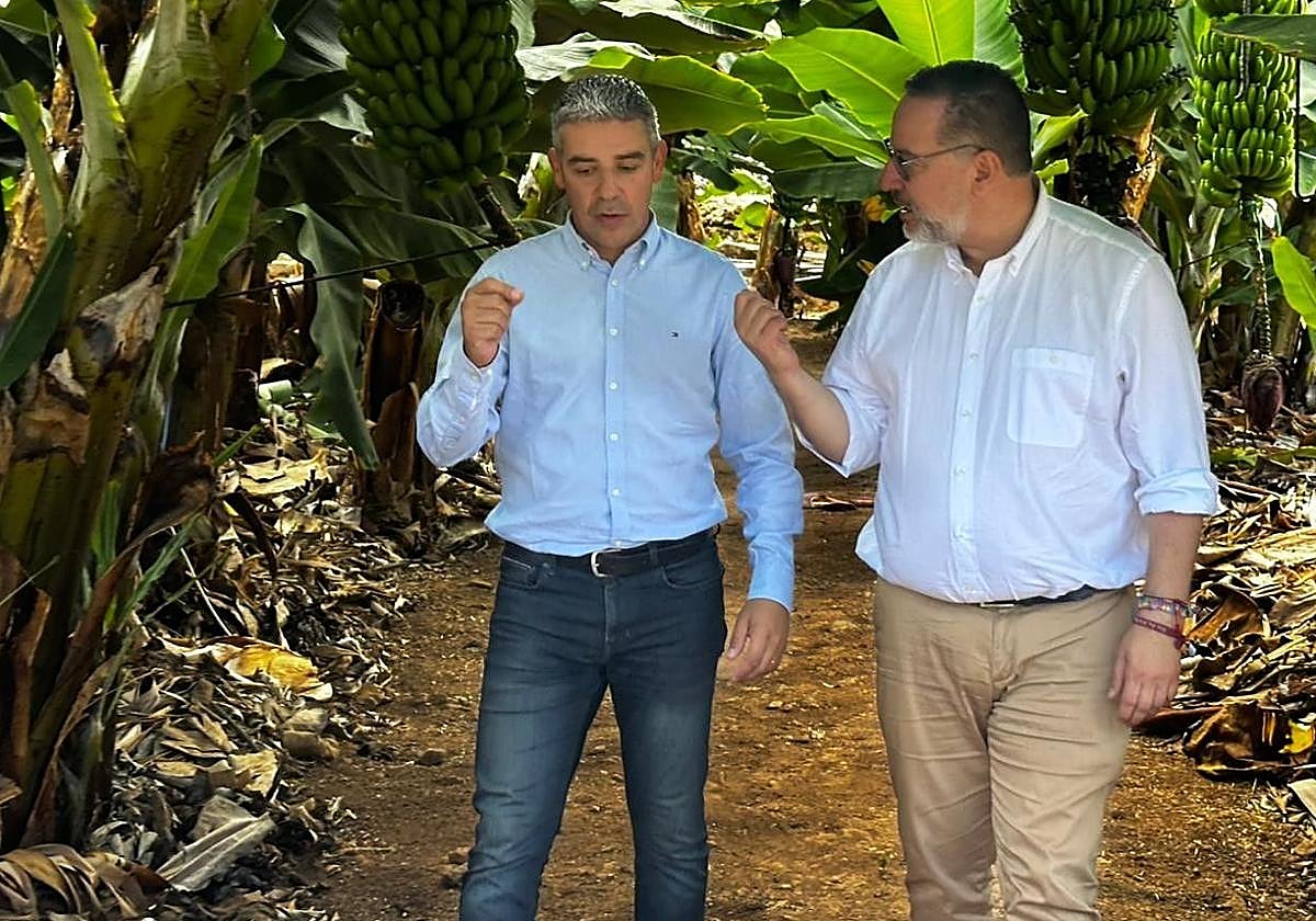 Visita de los consejeros del Gobierno de Canarias a la finca La Rekompensa, en Arucas.