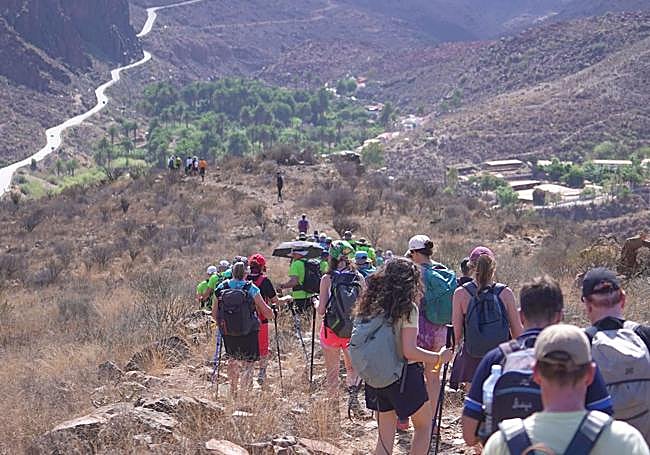 Ruta desde Tunte hacia Finca Canarias Aloe Vera en Fataga.