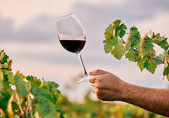 Imagen de archivo de una copa de vino