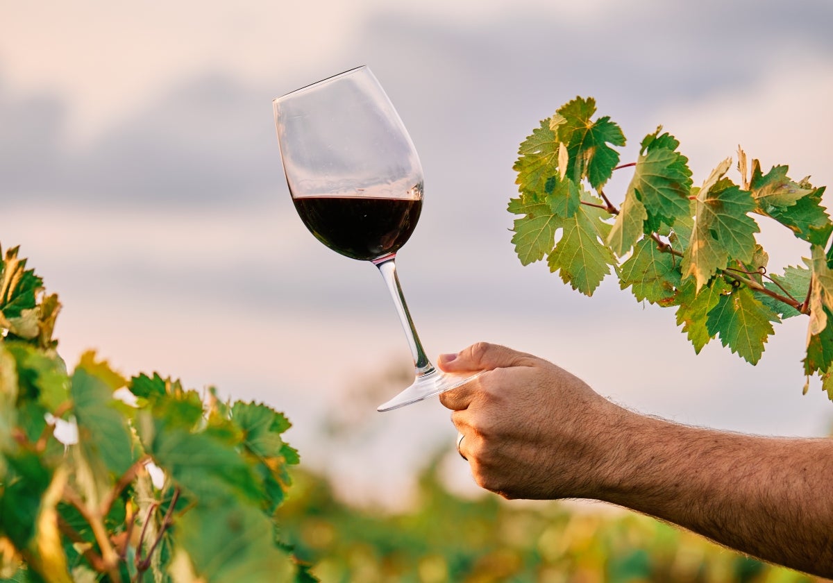 Imagen de archivo de una copa de vino