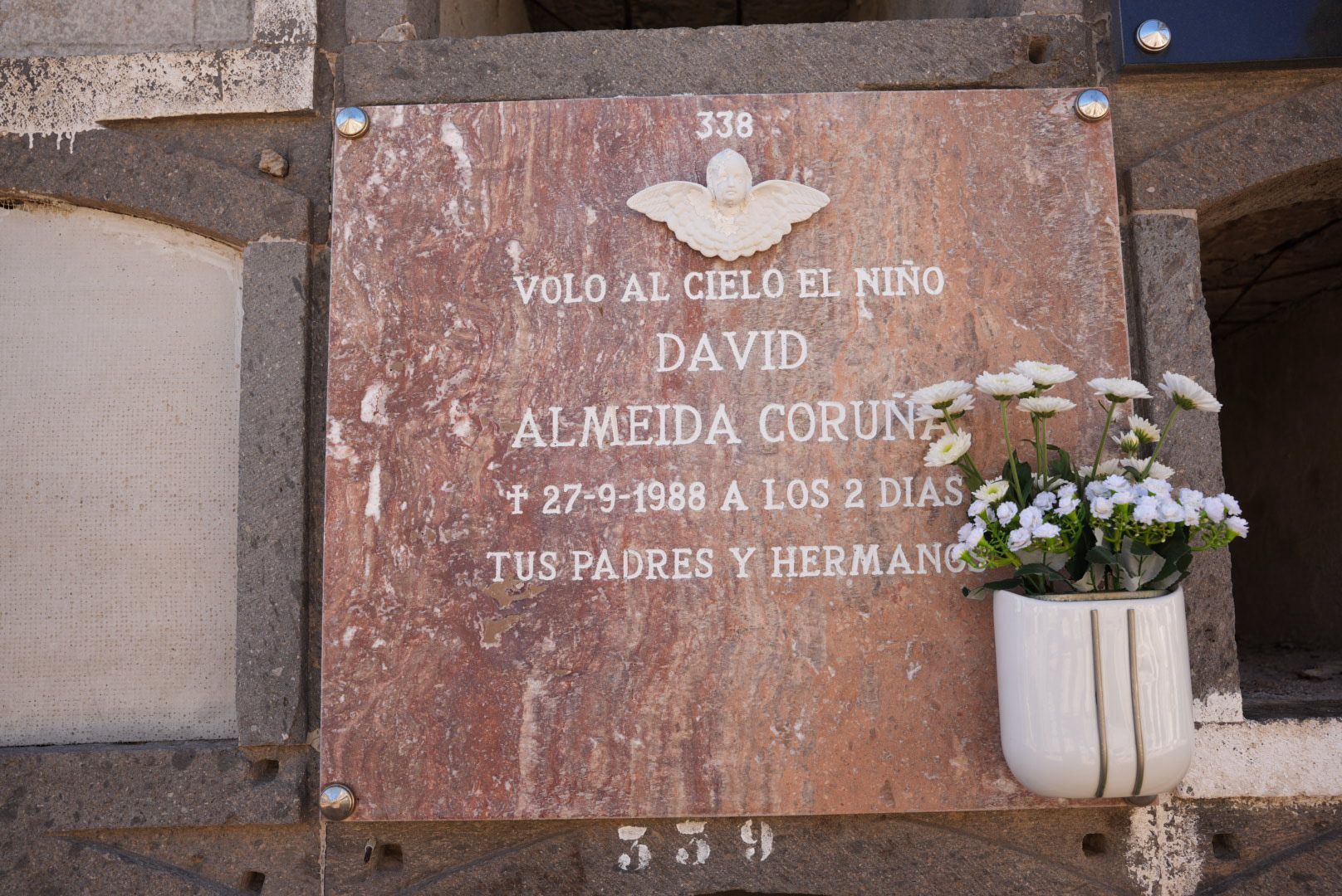El Cementerio de San Lázaro se llena de flores por el Día de Todos los Santos