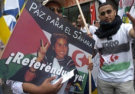 50 años de resistencia y lucha del pueblo saharaui