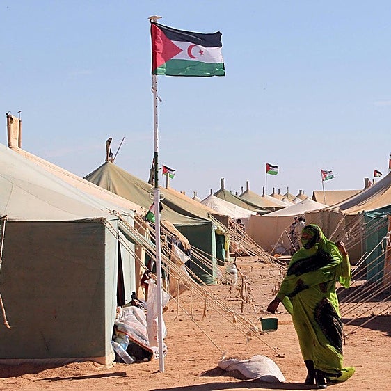 Marcha Verde: 50 años de exilio, silencio y resistencia saharaui