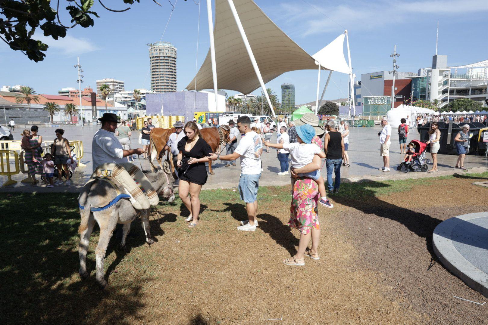 Feria Puerto Canteras &amp; Crusise, en imágenes