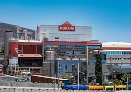 Cervecera de Canarias destina 41.3 millones de euros en los últimos cinco años a inversiones de mejora.