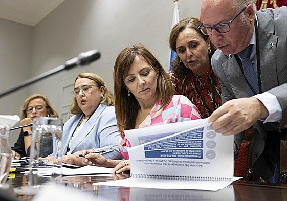 La consejera de Presidencia, Administraciones Públicas, Justicia y Seguridad del Gobierno de Canarias, Nieves Lady Barreto, este miércoles en comisión parlamentaria.