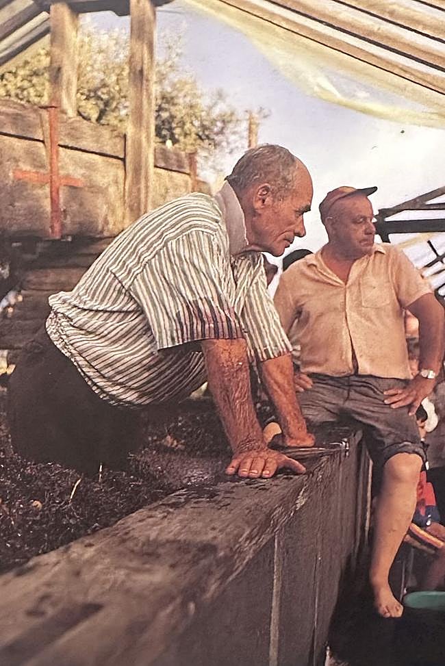 Pisada de la uva en El Monte en 1994