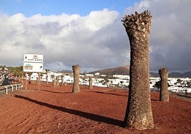 Ejemplares que Yaiza pide retirar.