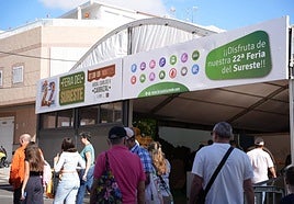 Segundo día de Feria del Sureste en Carrizal en imágenes