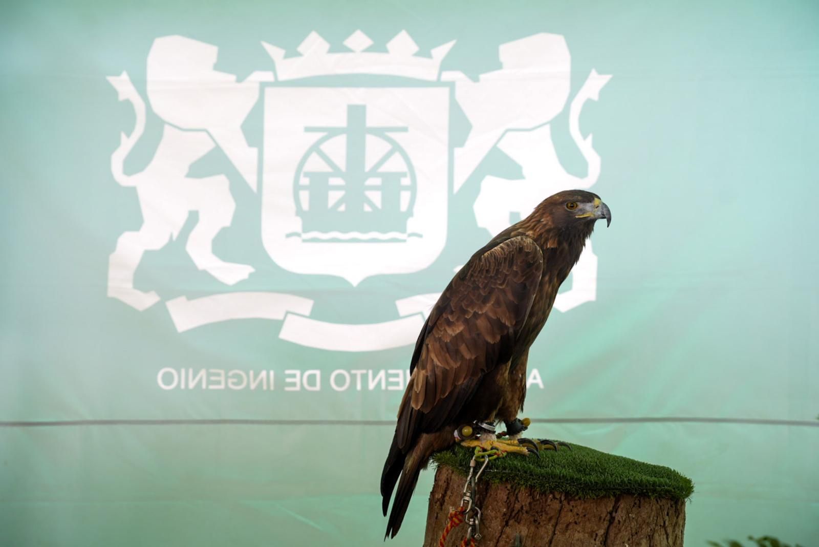 Tercer día de la Feria del Sureste en Carrizal en imágenes