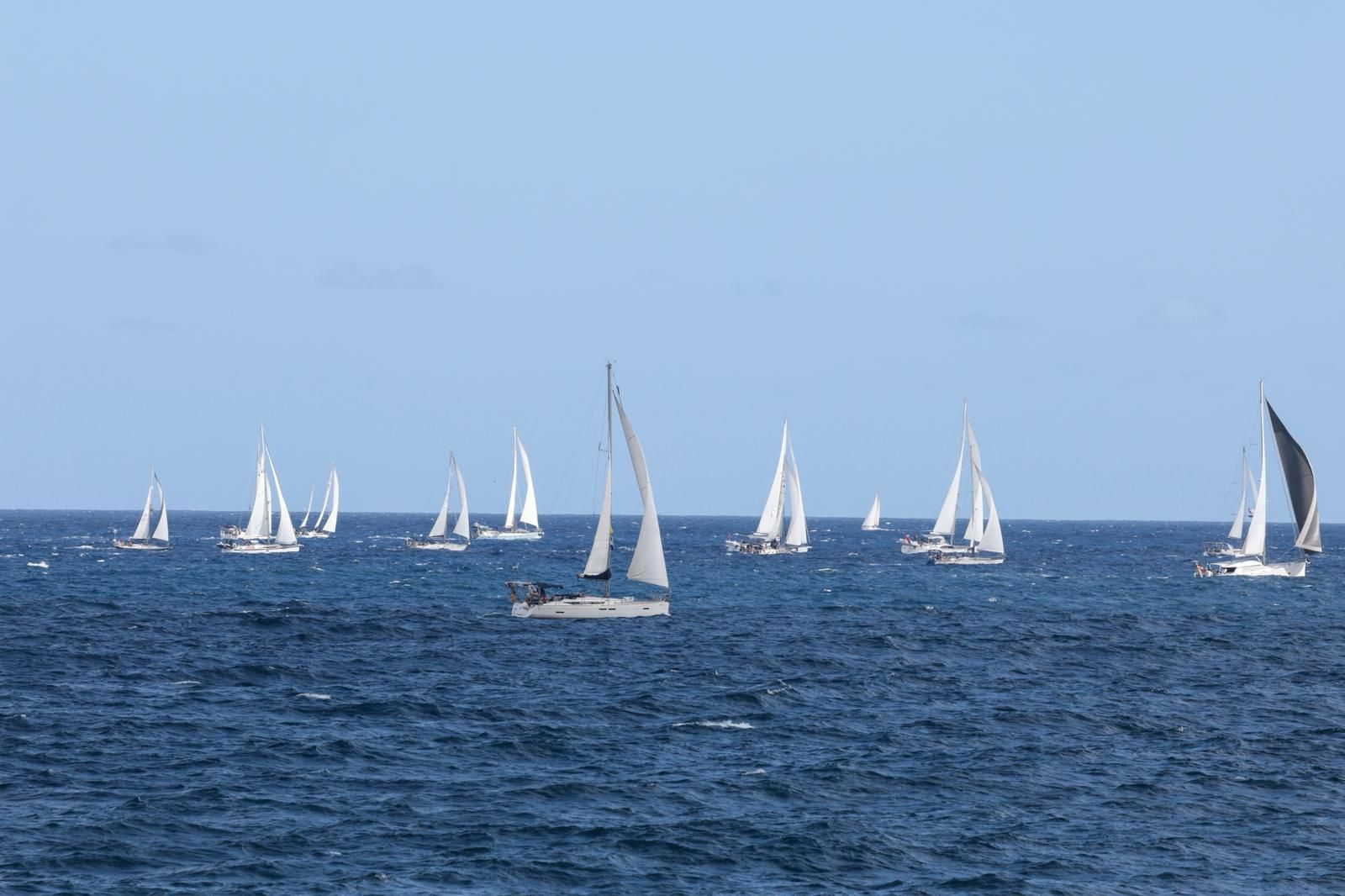 ARC Plus Regata de barcos: Un trampolín de sal hacia el Caribe