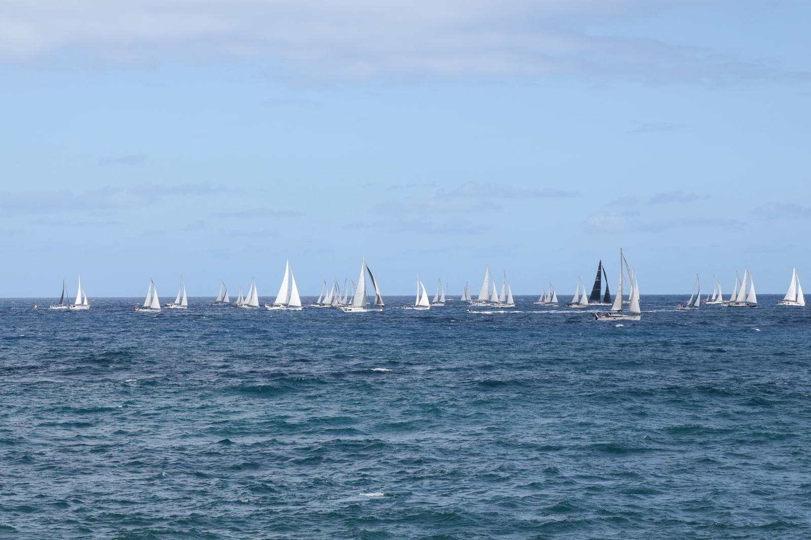 ARC Plus Regata de barcos: Un trampolín de sal hacia el Caribe