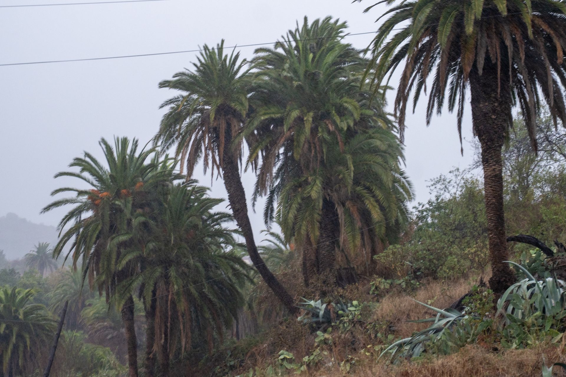 La llegada de la borrasca Claudia, en imágenes