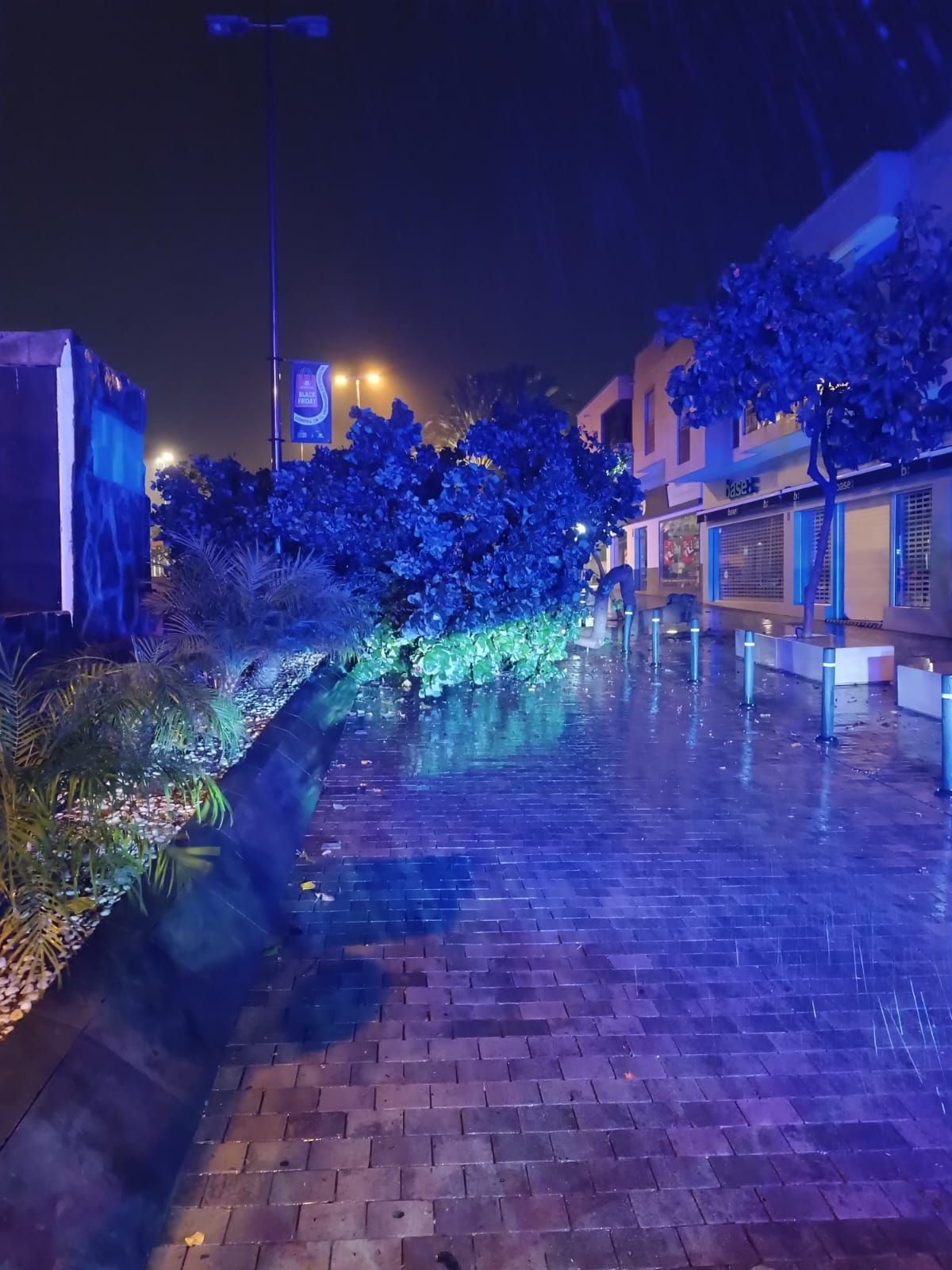 Los estragos de la borrasca Claudia en Canarias