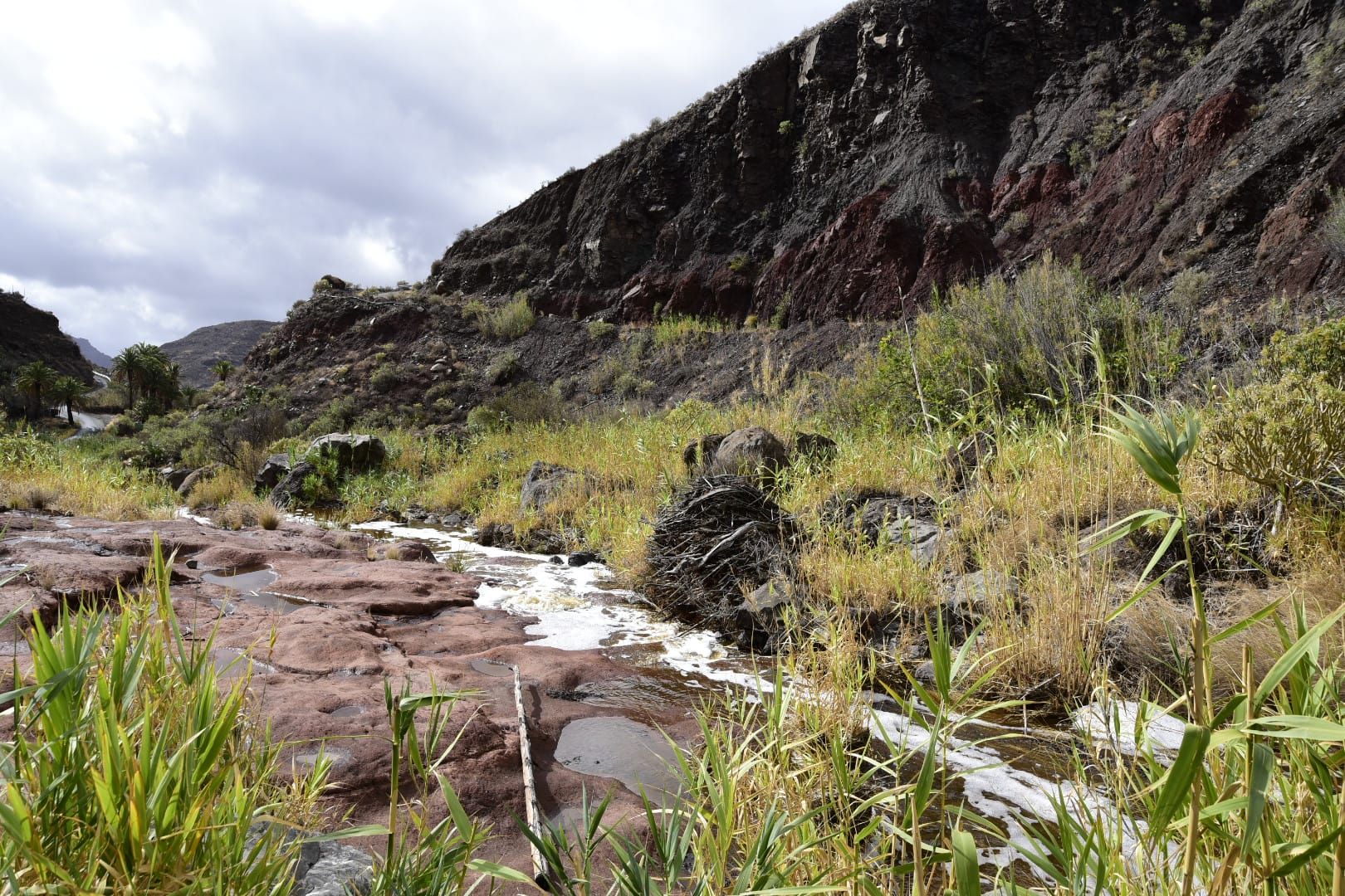 Los estragos de la borrasca Claudia en Canarias