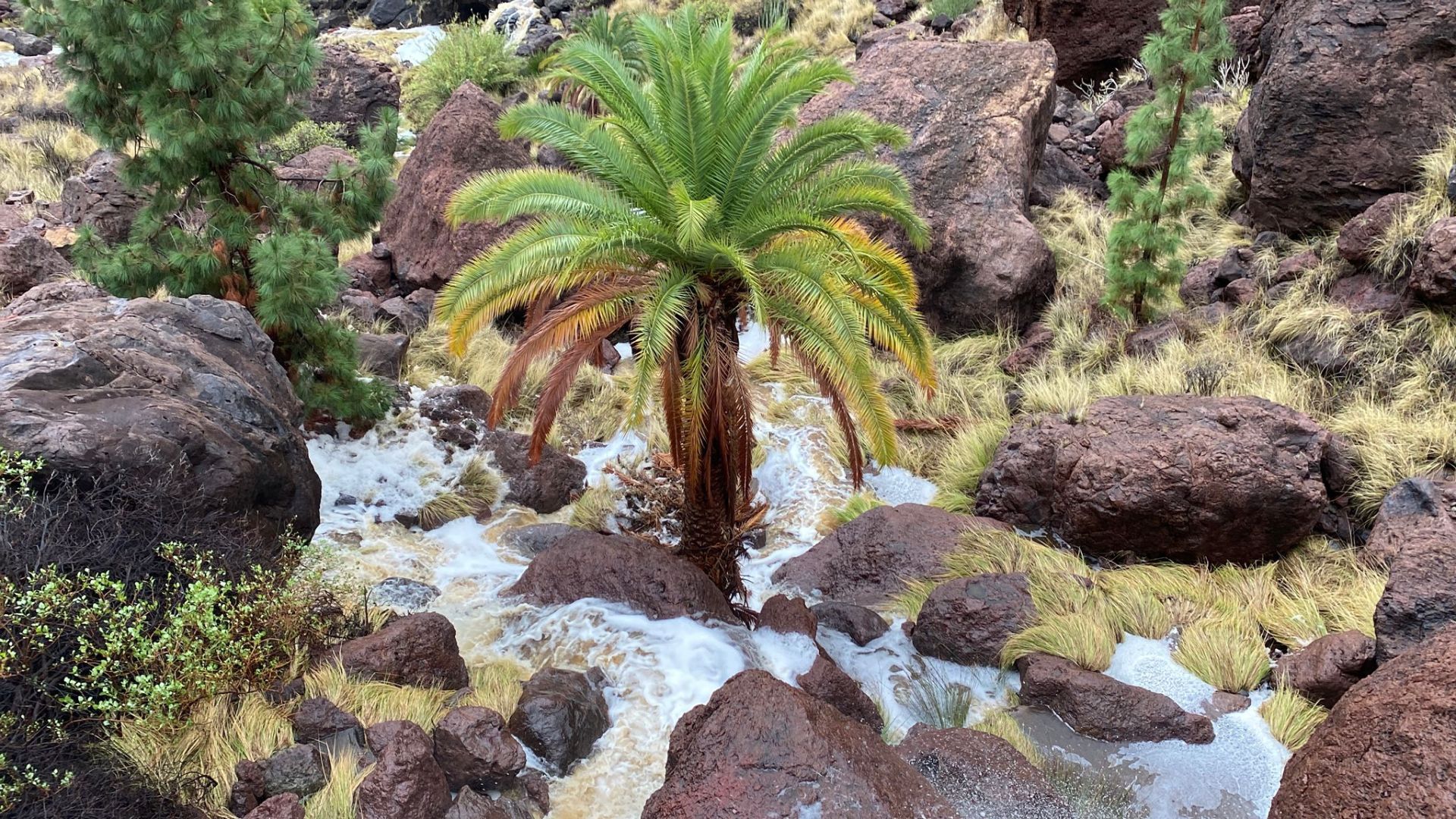 Los estragos de la borrasca Claudia en Canarias