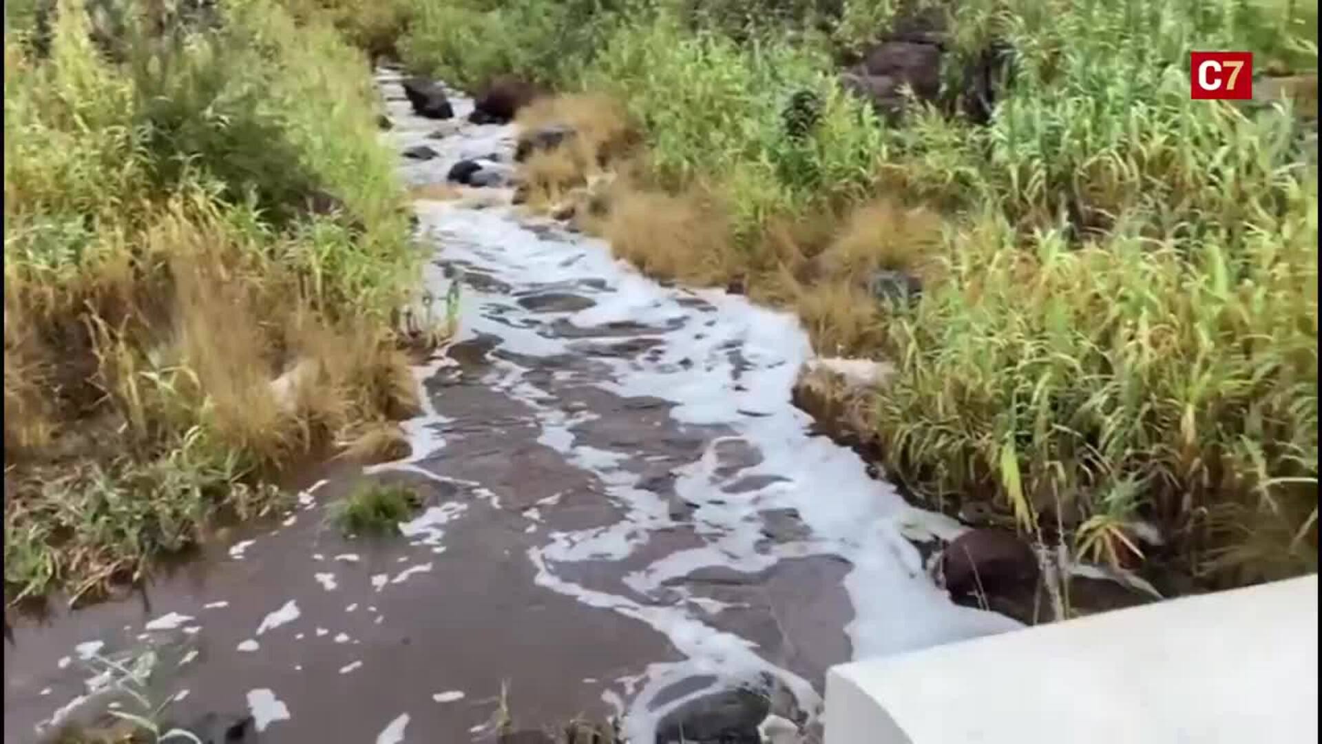 Mogán: el barranco vuelve a correr