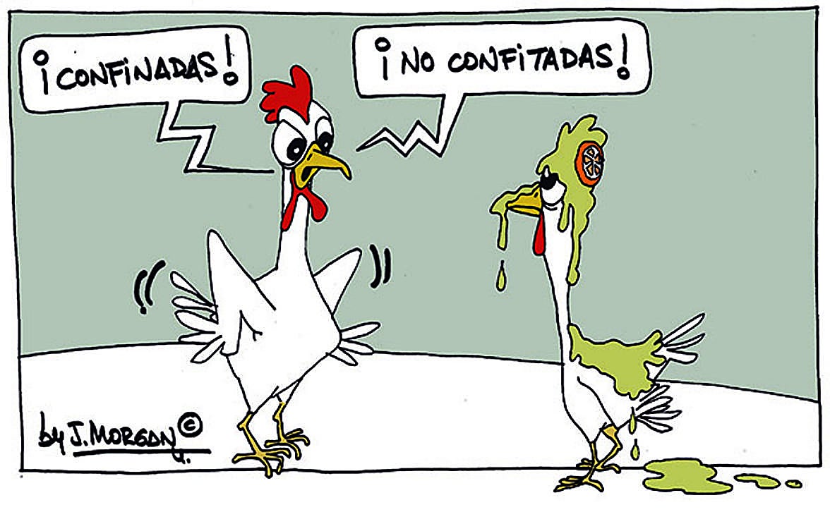 La viñeta de Morgan de este sábado 15 de noviembre