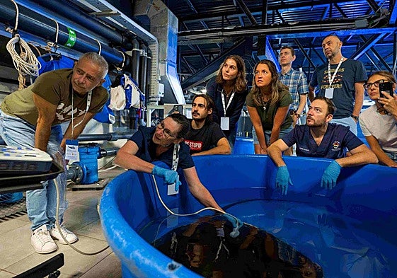 Imagen de uno de los talleres en las instalaciones de Poema del Mar.