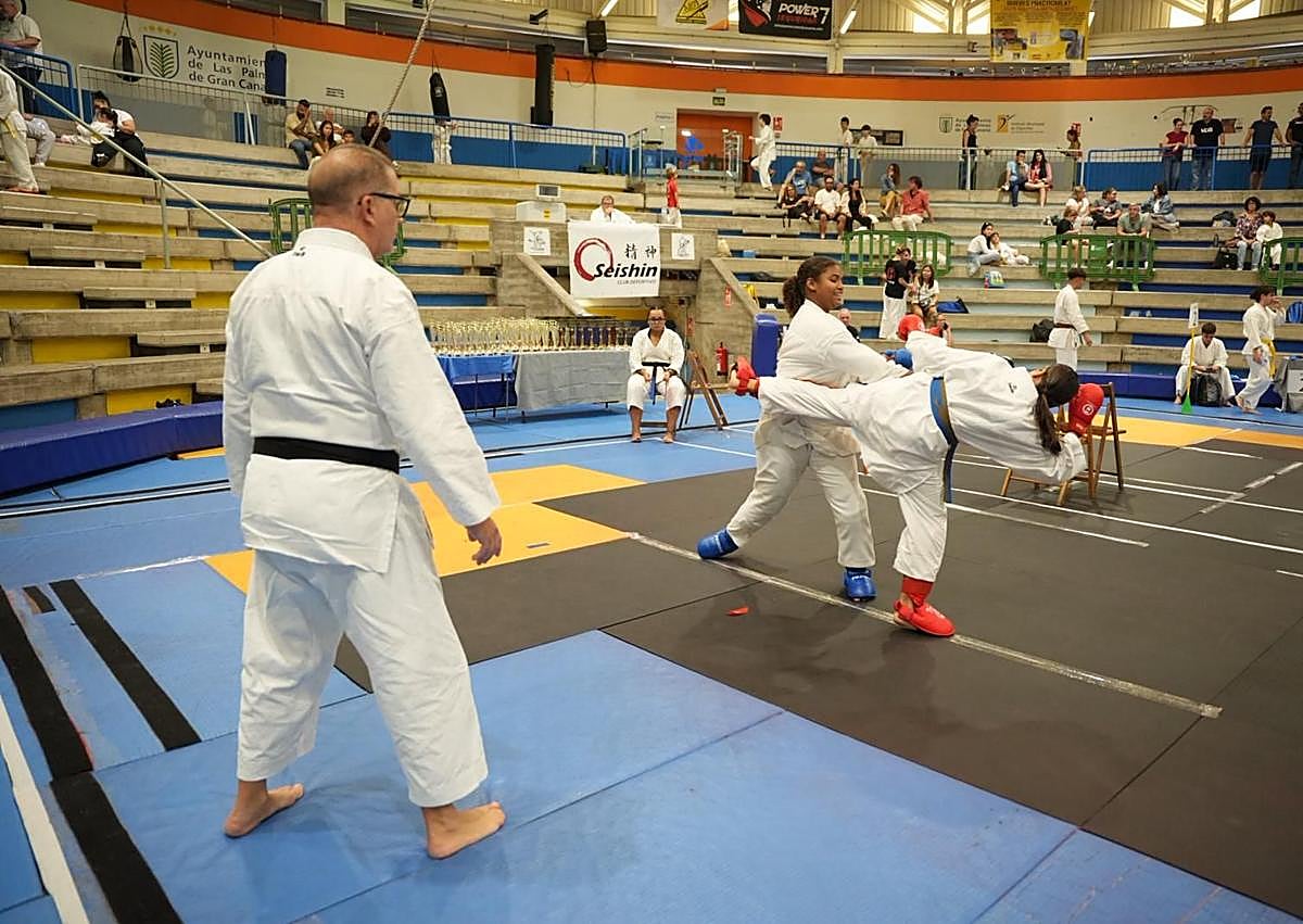 Imagen secundaria 1 - Espectáculo en La Gallera con el CD Seishin