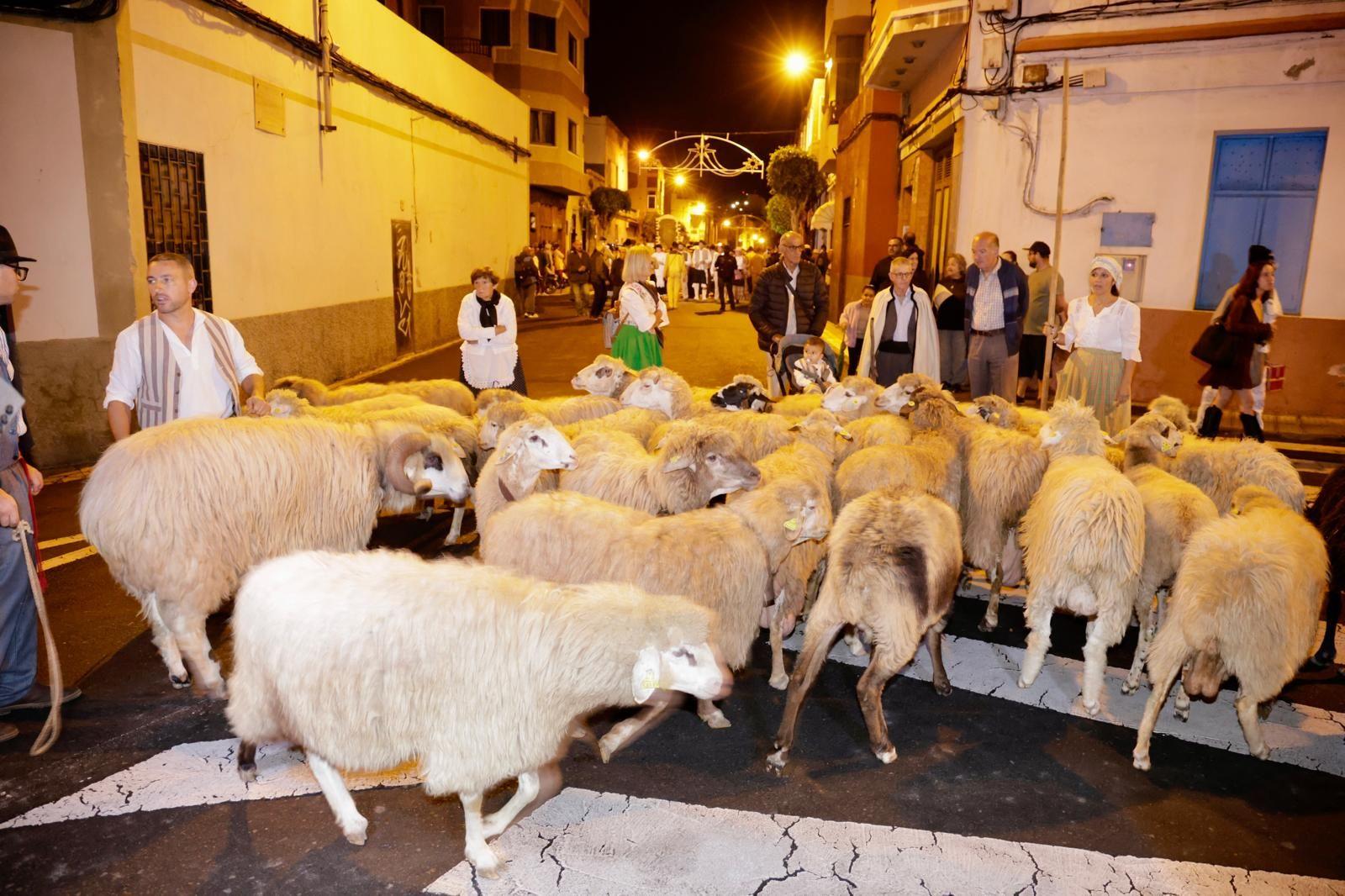 Miles de personas salen de romería en honor a San Gregorio